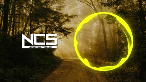 Sam Day - EVERY TIME I SEE YOUR FACE _ House _ NCS - Copyright Free Music