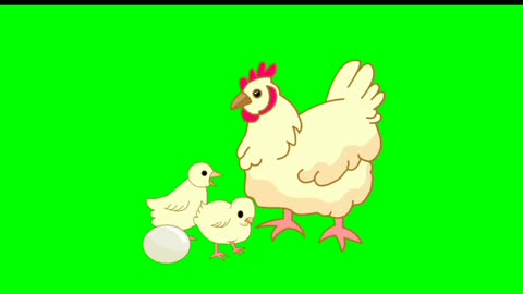 Animasi kumpulan ayam mencari makan