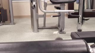 Sweet work out (watch till end)