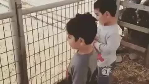 Funny kids vs Goat