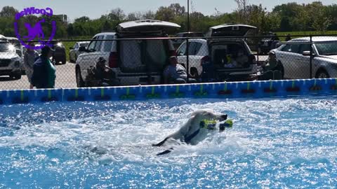 Air Retrieve Part 1 - Coolwag Spring Fling (off the dock)