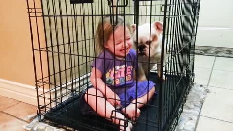 Cute Dogs and Babies are Best Friends - Dogs Babysitting Babies Video funny video