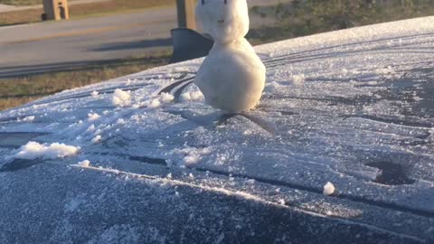 It is so cold in Florida i made a snowman