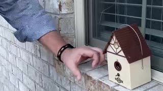 No more barking ultrasonic bird house that works!