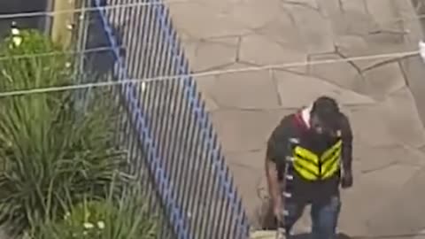 Delivery Guy Stops To Save A Cat Stuck On A Ledge