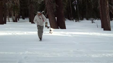 Young Man Faceplants Into Snow While Running Toward The Camera