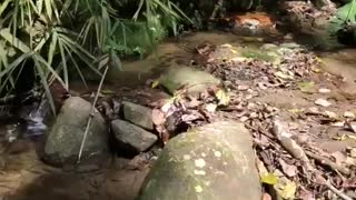 Denuncian contaminación de afluente en los Cerros Orientales