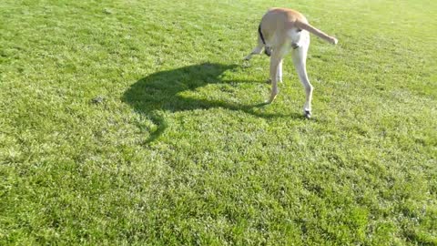 Magna stretches her long legs!