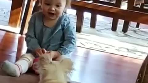 Funny video baby girl and the dog