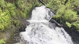 The COMPLETE SHORT HIKE of Shepperd's Dell Waterfall – Columbia River Gorge – 4K