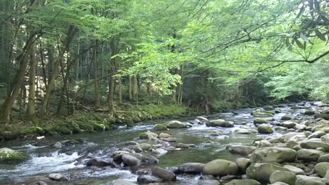 Hiking in the Smokies