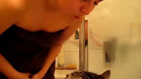 Cutest Cat Kiss Ever in The World | funny cat movie | funny cat kiss | Cutest Cat Kiss Ever!