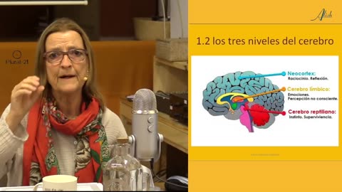 oct2020 Ingeniería lingüística 1/4 - Niveles neurologicos y lenguaje · Carme Jimenez Huertas || RESISTANCE ...-