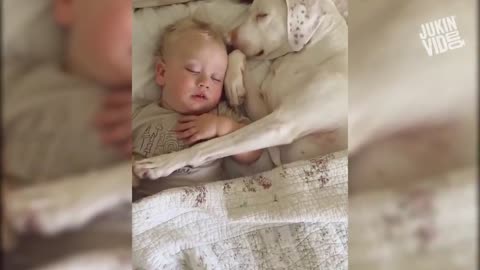 Cute Baby Playing With Dogs Compilation