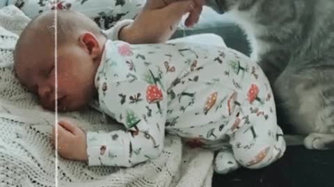 Cat with sleeping baby