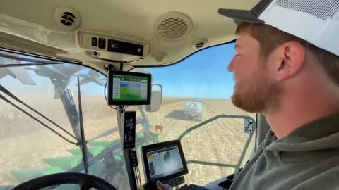 Driving and controlling the combine harvester to harvest grain