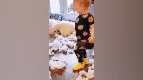 Aim Not to Laugh at These Adorable Baby Moments