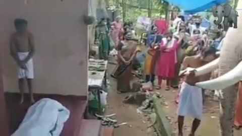 Watch this elephant pay last respects to its beloved mahout