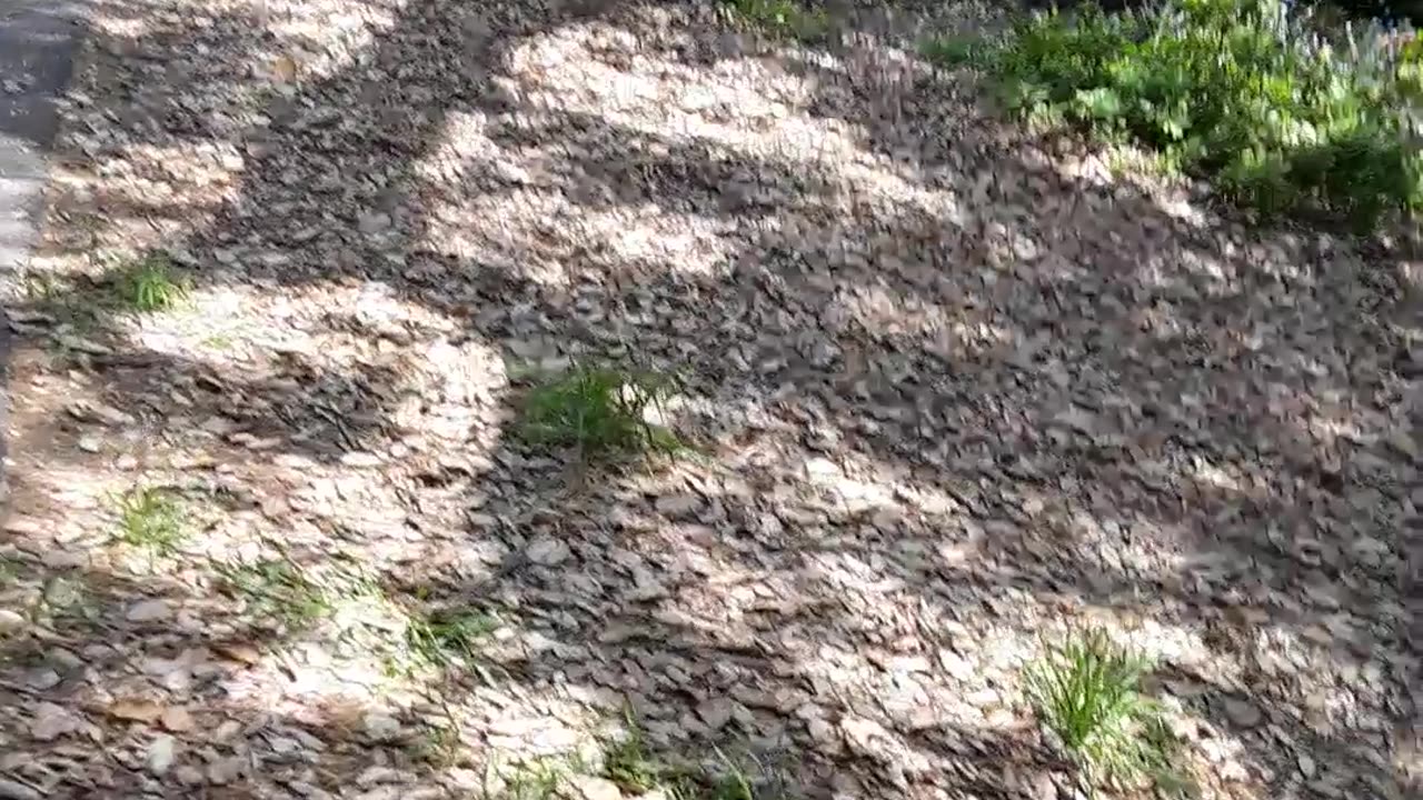 Riding The Tiny Train!