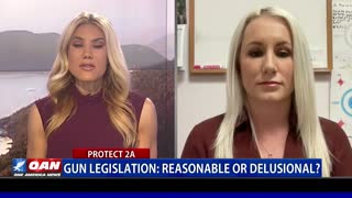 Gun Legislation: Reasonable or Delusional?