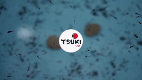 TSUKI koimu suka tsuki