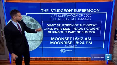 How to watch tonight's supermoon – the last one of the year