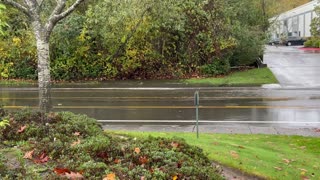 Flooded road, Everett WA