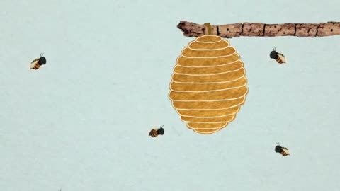 Insects can calculate angles, they're mathematicians, so let's look at a bee's nest