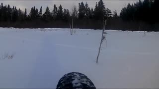 Fat biking on a beaver pond.