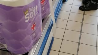 People Clearly Buying Way Too Much Toilet Paper