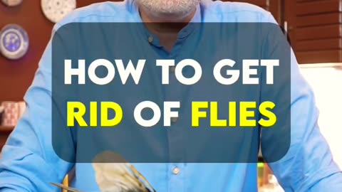 how to get rid of flies | Makhiyaan the easy way!|Metafood
