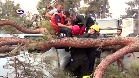 Burning tree falls on car during live broadcast
