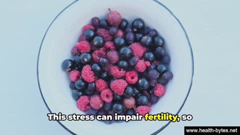 Foods That Increase Fertility In Females