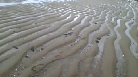 Não é o deserto, são as dunas na areia da praia, lindo demais! [Nature & Animals]