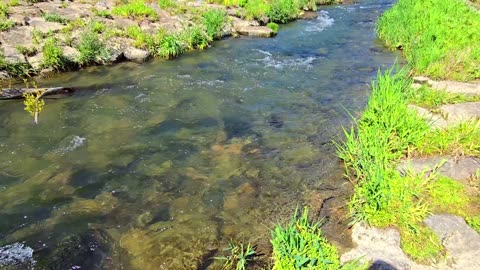 Beautiful river with strong current / river with fresh drinking water.