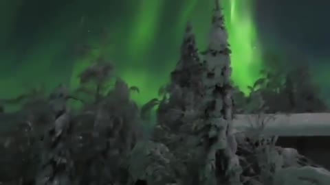 At the north pole you can see the beautiful northern lights