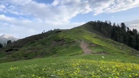 Flowery mountain