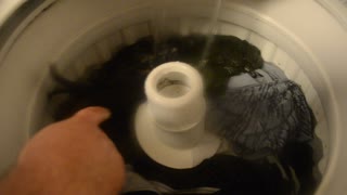 Black Lory vs washing machine
