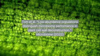 Microbial people group of a similar beginning foster special plant-debasing execution