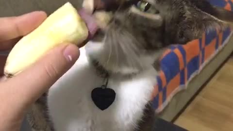 Comendo uma bananinha