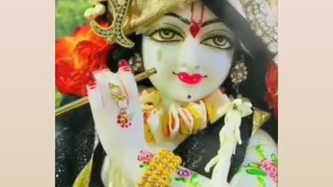 Beautiful krishna video