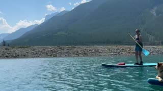 Dog Takes on Stand Up Paddleboarding