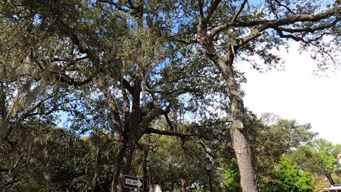 Forsyth Park, Chippewa Square,(Forrest Gump Bench Location!). Savannah Georgia.