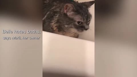 He doesn't like to bath