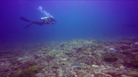 diving diving in the beauty of Nusapenida, Bali, Indonesia