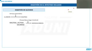 ANUAL ADUNI 2023 | Semana 30 | Biología | Química S2 | Psicología S1