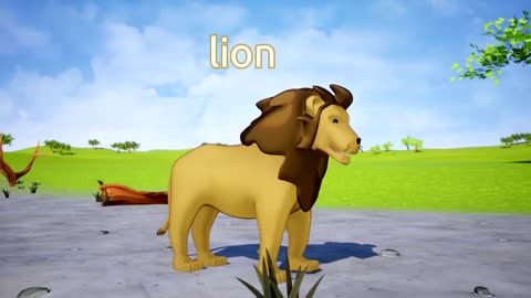 Animation animals names