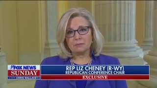 Liz Cheney Explains Why NO ONE Should Vote for Her Ever Again