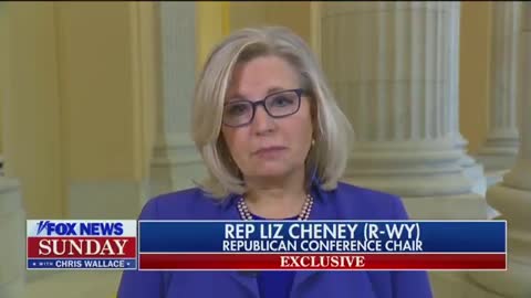 Liz Cheney Explains Why NO ONE Should Vote for Her Ever Again
