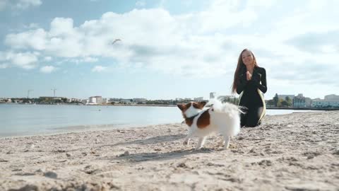 Young adult sporty woman playing with little dog outdoor